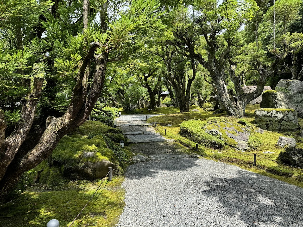 館内